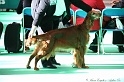 Crufts2011 040